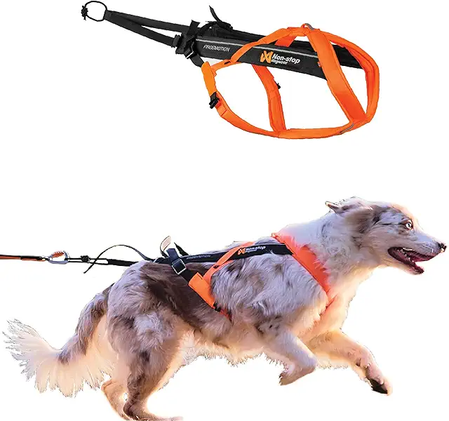non stop dogwear : ruffwear stílusú profi hám